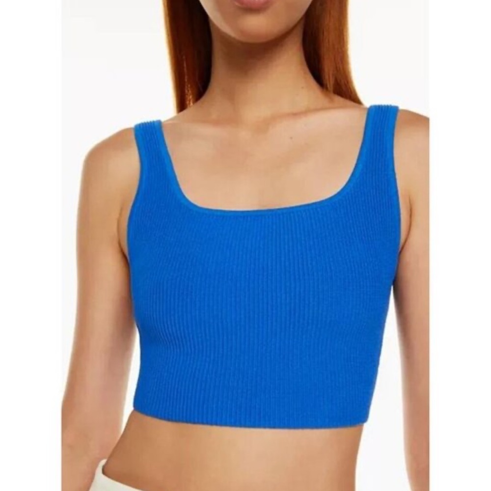 Aritzia Blue Ribbed Tank Top